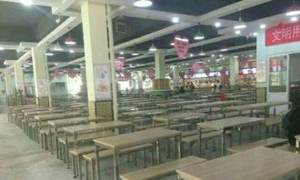 济宁技术学院食堂窗口经营权与技术转让解析