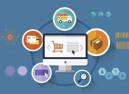 苏韵电商奶昔老师 高效技能传授，赋能商家数字化转型