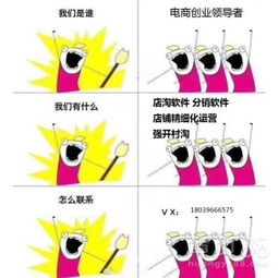 店淘精细化运营技术转让